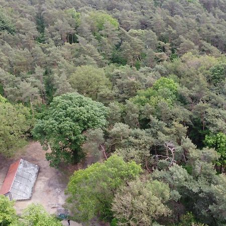 Natuurslaapkamer De Zaadeest Boskamer Lomm Esterno foto