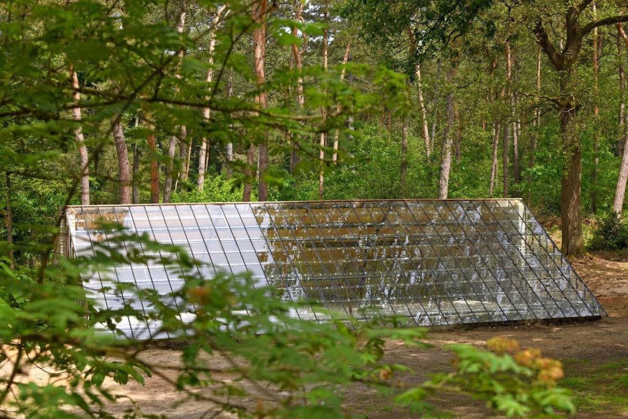 Natuurslaapkamer De Zaadeest Boskamer Lomm Esterno foto